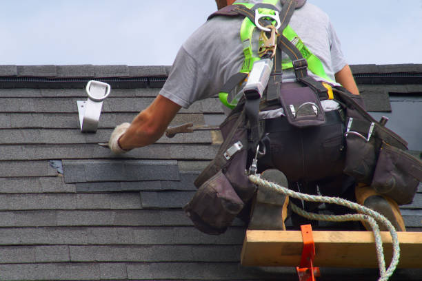Roof Gutter Cleaning in New Fairview, TX